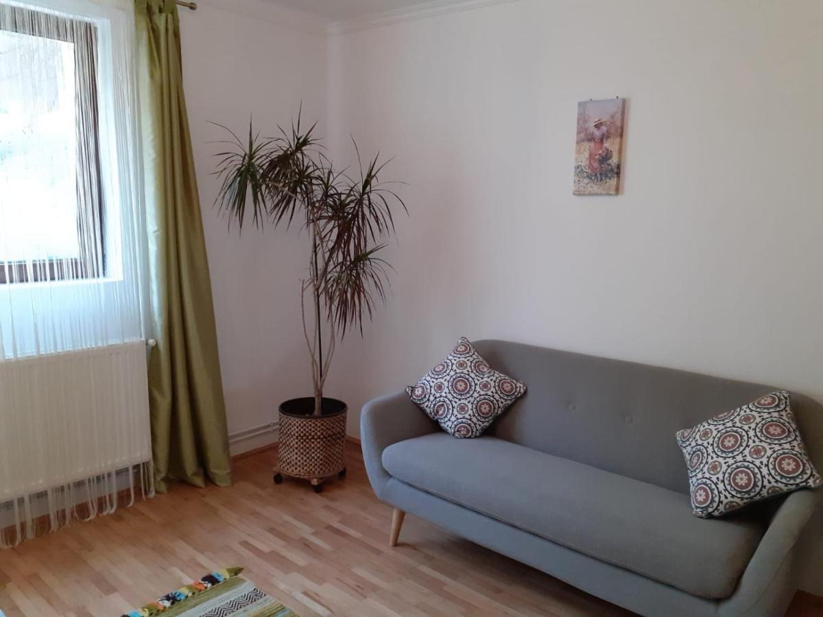 Apartamento R-House Braşov Exterior foto